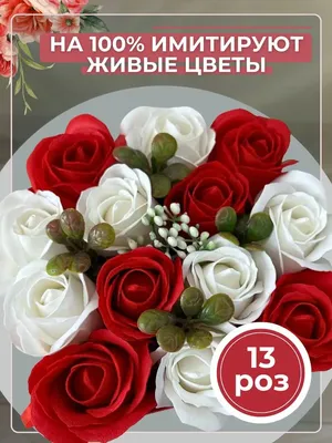Признание в любви жене | Радужные розы, Открытки, Букет красной розы