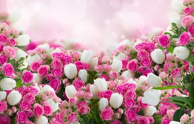 Обои цветы, розы, тюльпаны, листики картинки на рабочий стол, раздел цветы  - скачать | С днем рождения, Цветы на рождение, Розы