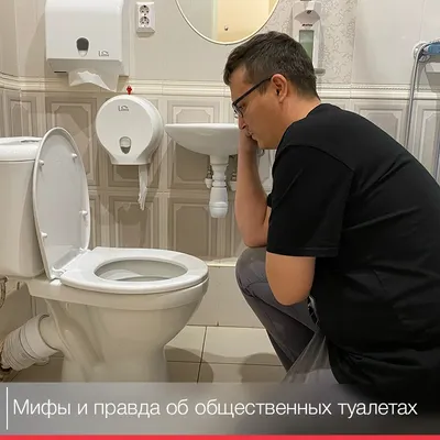Дизайн туалета 2 кв м без ванной: фото и идеи | Houzz Россия