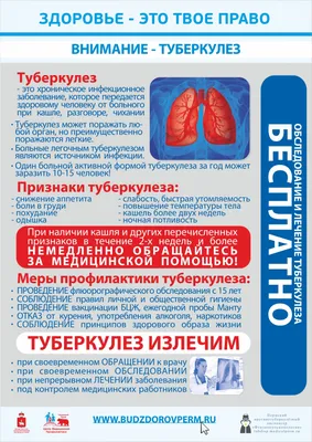 Туберкулез – древнейшая инфекция человека и животных