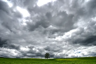 Тучи с падения сильного дождя Стоковое Изображение - изображение  насчитывающей ландшафт, облака: 180696351