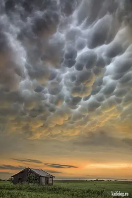 Необычные облака и тучи (40 фото) | Mammatus clouds, Sky and clouds, Clouds