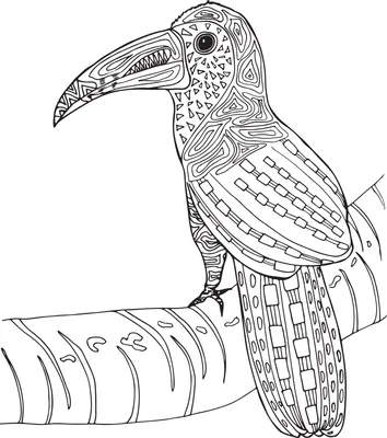 Tukan bird in the zoo stock photo. Image of bright, black - 98402072