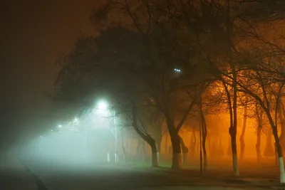 Карточки: Почему появляется туман – Новости Узбекистана – Газета.uz