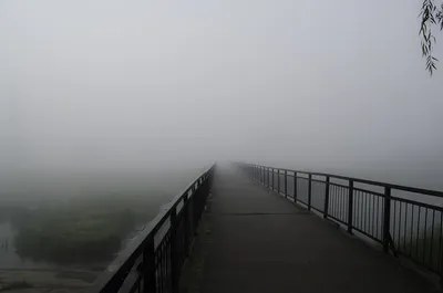 Сильный туман в ряде районов Китая снизил видимость до 50 метров