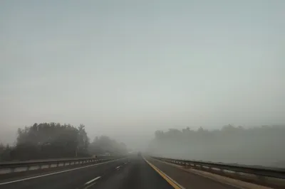 Туман | Пикабу