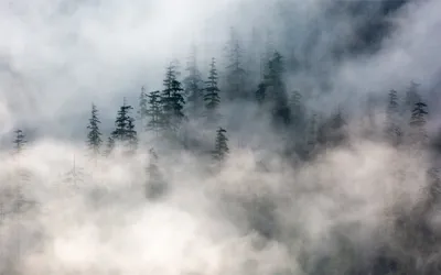 Рекордный туман в Лондоне - фотоистории на BFM.ru