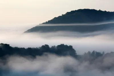 Утренний туман — Фото №348676