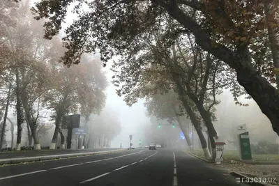 Прикрыл поле туман / Осенние туманы