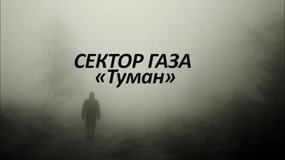 Фотообои на стену Фотообоикин \"Туман в лесу\" 300x271 см по цене 4472 ₽/шт.  купить в Москве в интернет-магазине Леруа Мерлен