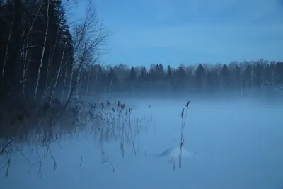 Туман на озере. / Пейзажи / Клуб владельцев техники Olympus