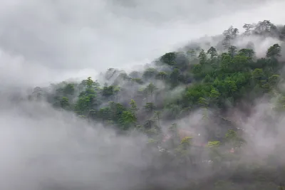 Утро…Река…Туман…Рассвет… — Сообщество «Фотография» на DRIVE2