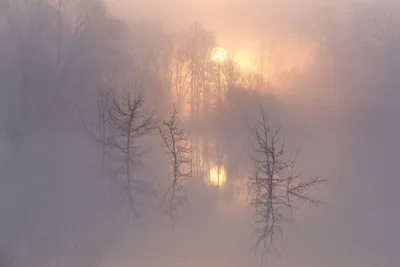 На Петербург опустился плотный туман | Телеканал Санкт-Петербург
