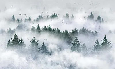 Фотообои Туманный лес | Extradecor