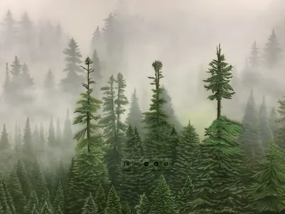 Туманный лес – заказать на Ярмарке Мастеров – IQZ53BY | Картины, Чита