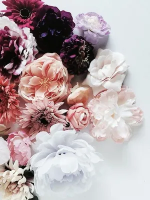 love thread - Flowers Tumblr