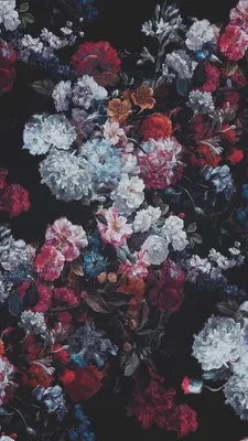 Flowers Tumblr