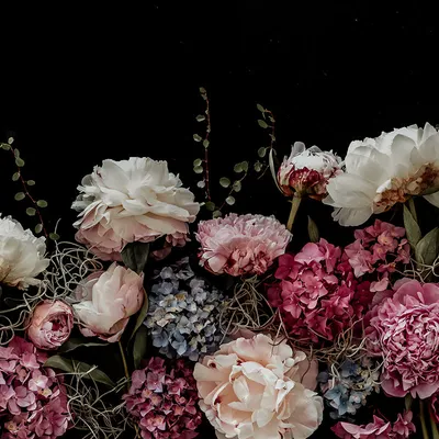 Pink petaled flowers on white surface photo – Free Flower Image on Unsplash