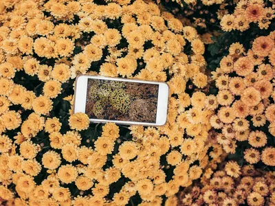 Vintage Wallpapers Flowers Tumblr - Wallpaper Cave