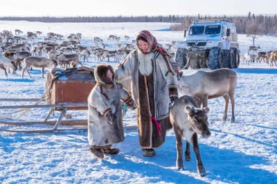 Ловозерские тундры. Фотограф Кондратенко Руслан