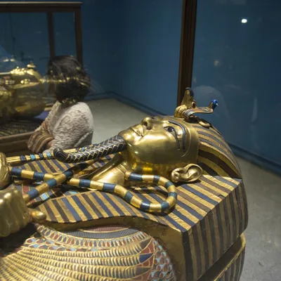 Ваш шанс увидеть «сокровища» гробницы Тутанхамона — Не галопом по Европам