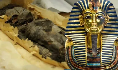 Сокровища гробницы Тутанхамона»: новая выставка на ВДНХ | ВДНХ