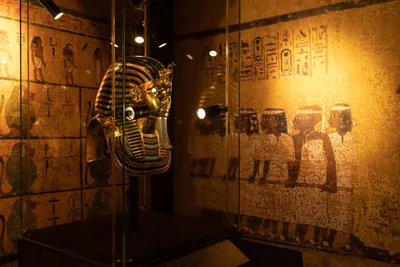 Музей Тутанхамона и Исторический музей с гидом-историком 🧭 цена экскурсии  €60, 6 отзывов, расписание экскурсий в Шарм-эль-Шейхе