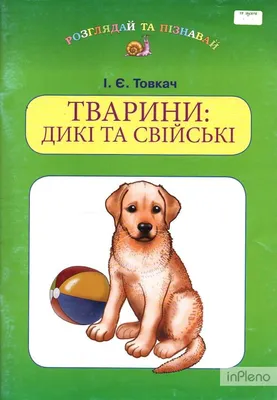 Розвиваюча гра «Сліди тварин» - Завантажити або роздрукувати безкоштовно