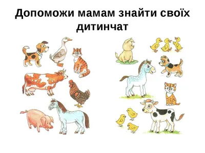 Настільна гра для дітей \"Тварини дикого світу\" УКР - огляд, купити, відгуки