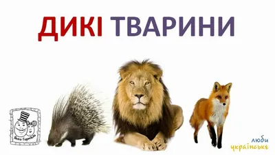 Дидактична гра з лупою Свійські тварини - Всеукраїнський портал Anelok Ігри  для друку