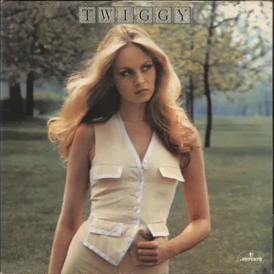 TWIGGY: A LIFE IN PHOTOGRAPHS /ANGLAIS: PEPPER/MUIR/SOKOLSKY:  9781855144149: Amazon.com: Books