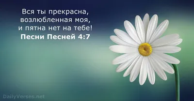 Ты красивая женщина! Как определить,что ты действительно красива. |  анастасия амиака | Дзен