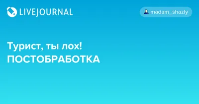 Открытка с днем рождения с приколом Это - мох, а ты - лох веселая и милая —  купить в интернет-магазине по низкой цене на Яндекс Маркете