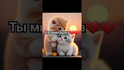 ты милашка❤ (@_11coffee11_) | TikTok