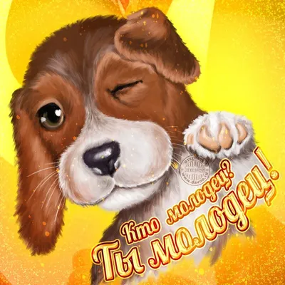Ты молодец