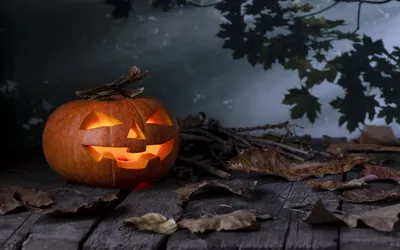 Тыква на Хэллоуин: как сделать Джек-фонарь своими руками, инструкция | РБК  Life