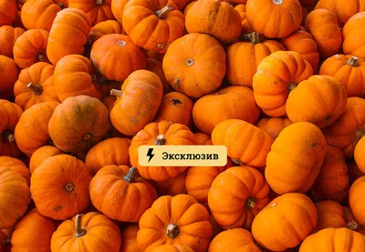 Тыквы на хэллоуин под заказ изготовление в Украине
