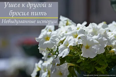 Подруга женщины, чей ребенок погиб сегодня в Серебрянке: «Я не могу  поверить в это, Аня бросила пить и курить, когда Женька родился»