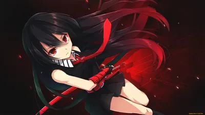 Anime Akame ga Kill! HD Wallpaper