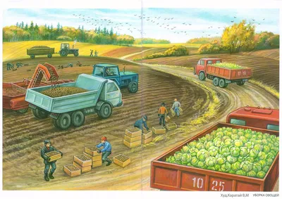 Услуги по уборке урожая зерновых культур комбайнами в компании ММТС «КОЛОС»