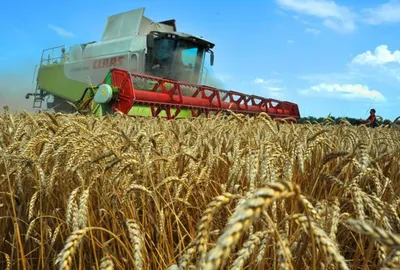 На полях района продолжается уборка урожая | Вурнарский муниципальный округ  Чувашской Республики