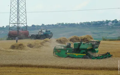 Дожди мешают уборке урожая в Казахстане | Kazakhstan Today