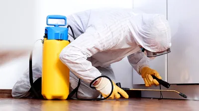 Уборка квартиры после ремонта: 8 советов, как убраться самостоятельно |  ivd.ru