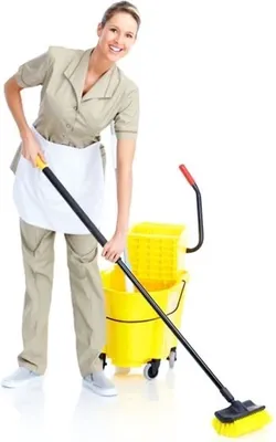 Уборщица на работе стоковое изображение. изображение насчитывающей  домохозяйка - 39871667