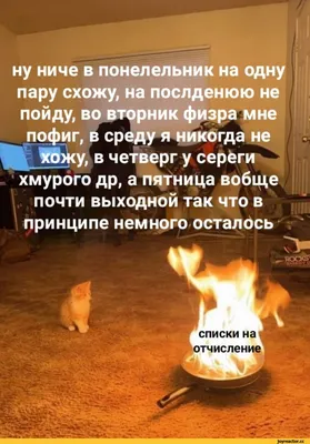 Учеба прикольные