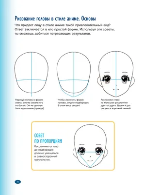 Учимся рисовать фигуру человека. Простые шаблоны для рисования головы и  тела (новое оформление), 2 экз. - купить с доставкой по выгодным ценам в  интернет-магазине OZON (708335798)