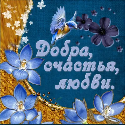 Поздравляю с днем рождения Счастья радости везения - GreetCard.ru