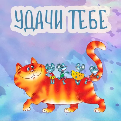 Удачи тебе