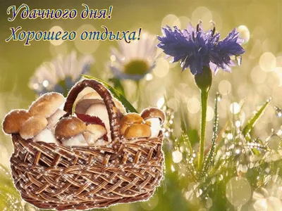 С добрым утром пятницы. Желаем всем хорошего дня и отличного отдыха на  выходных - Лента новостей Крыма