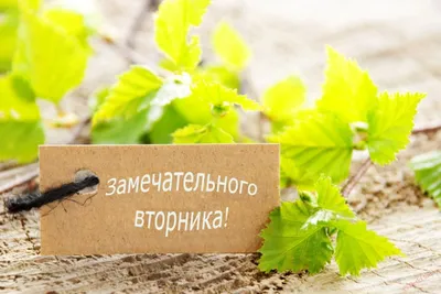 Удачного вторника! | Tea, Food, Good morning happy friday